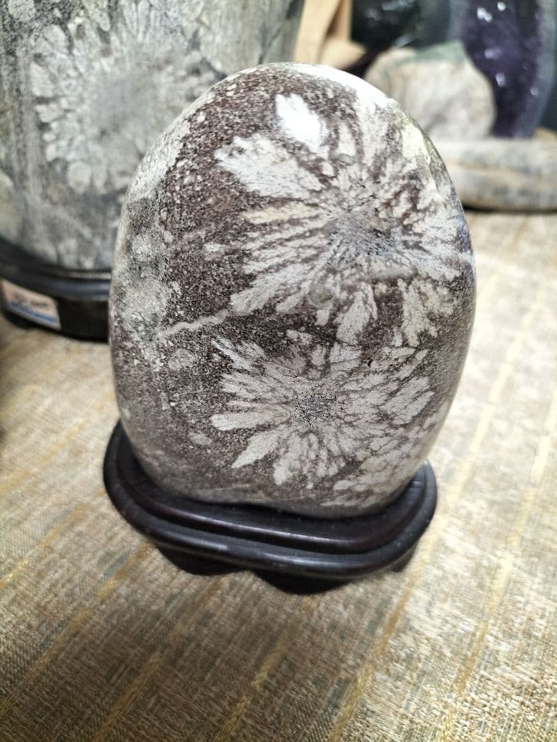 菊花石 花模様の彫刻石 3点セット