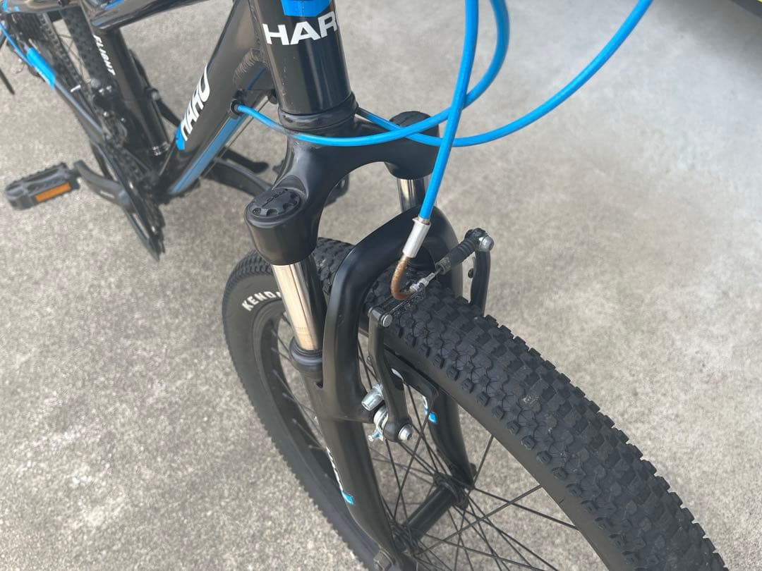 マリオ　HARO ジュニアマウンテンバイク　自転車