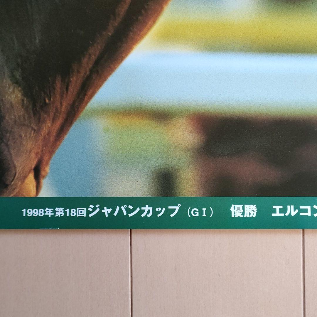 エルコンドルパサー　ポスター　ジャパンカップ　競馬　ウマ娘