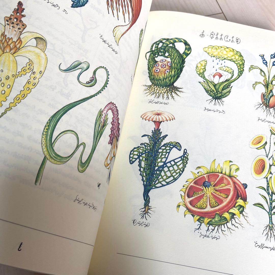 コデックス・セラフィニアヌスCodex Seraphinianus