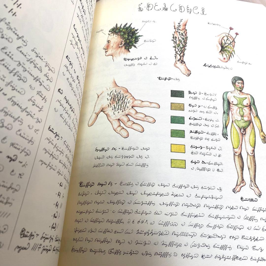 コデックス・セラフィニアヌスCodex Seraphinianus