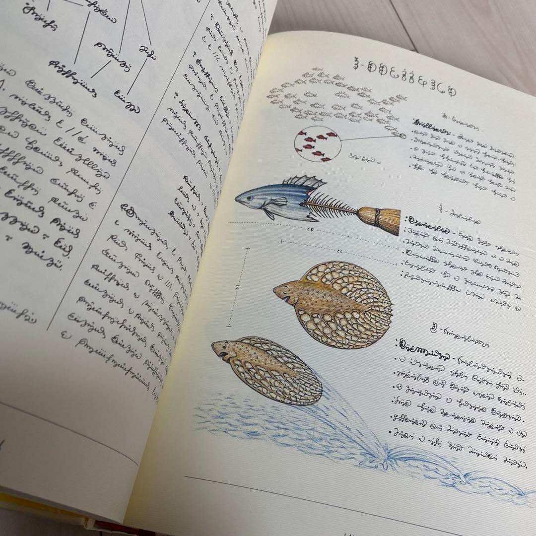 コデックス・セラフィニアヌスCodex Seraphinianus