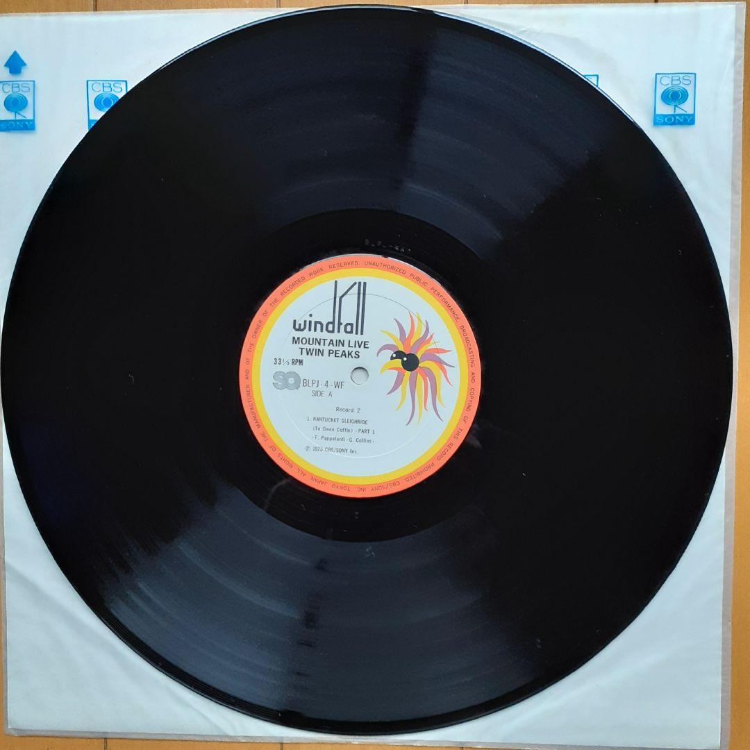 洋楽 Mountain Twin Peaks LP