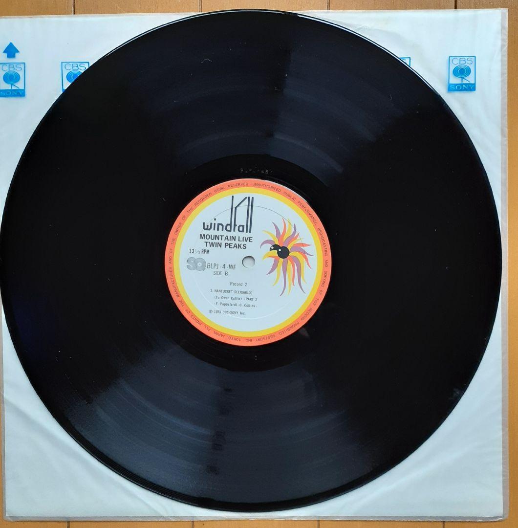 洋楽 Mountain Twin Peaks LP