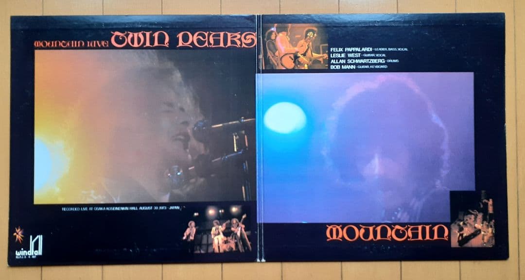 洋楽 Mountain Twin Peaks LP
