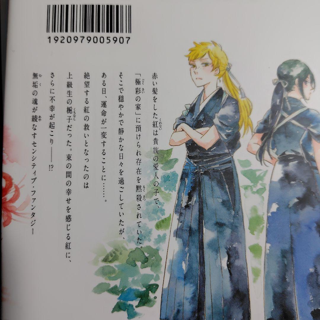 極彩の家