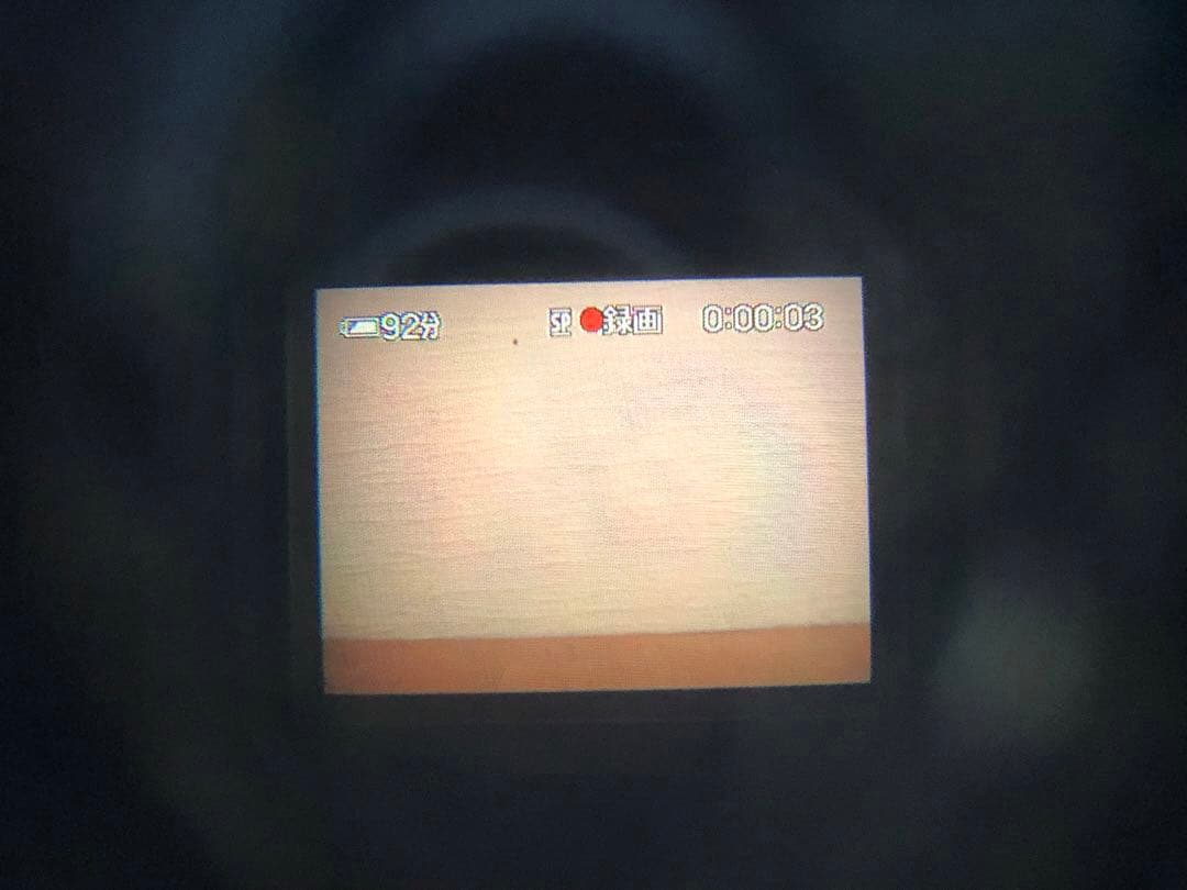 【動作確認済み・希少】SONY DCR-TRV8 miniDV