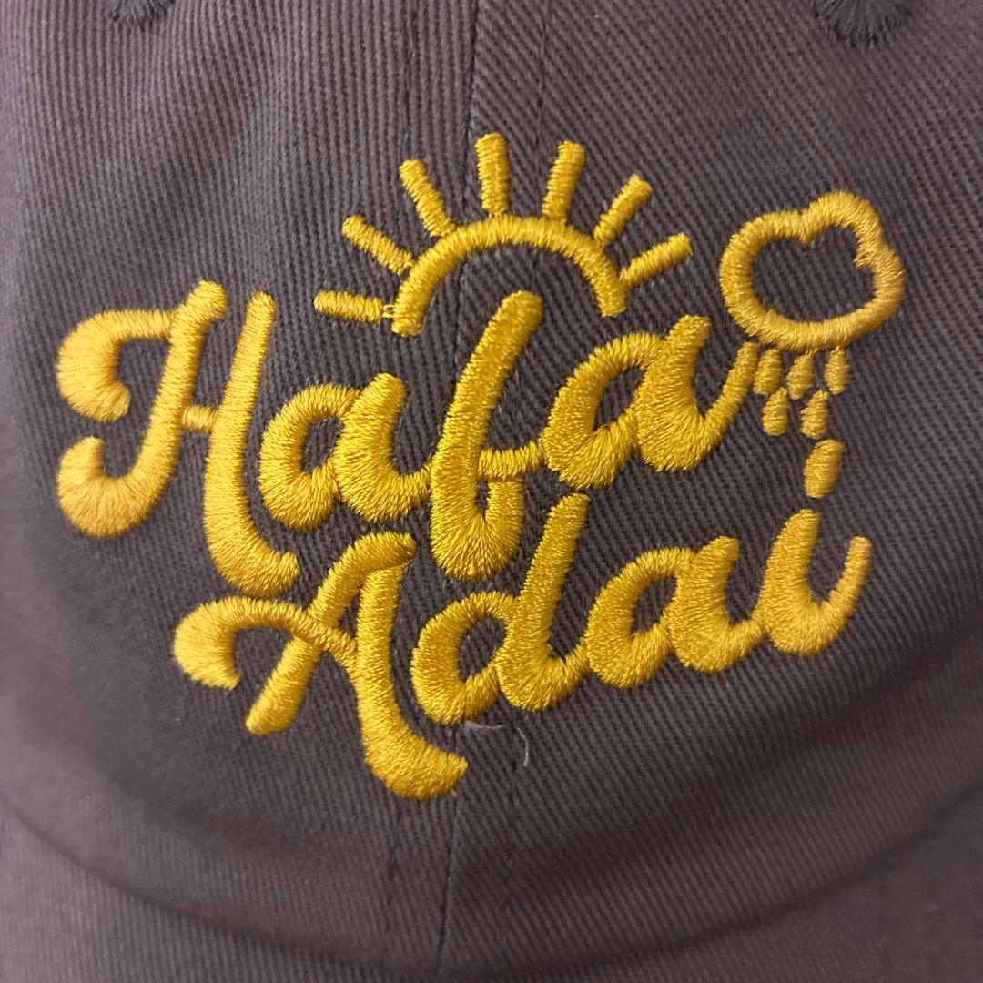 【ずんだ　新品　未使用】よにのちゃんねるグアムキャップ