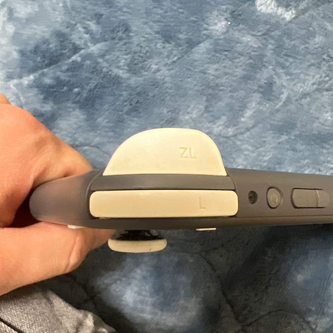 Nintendo Switch Liteジャンク品　充電器付き