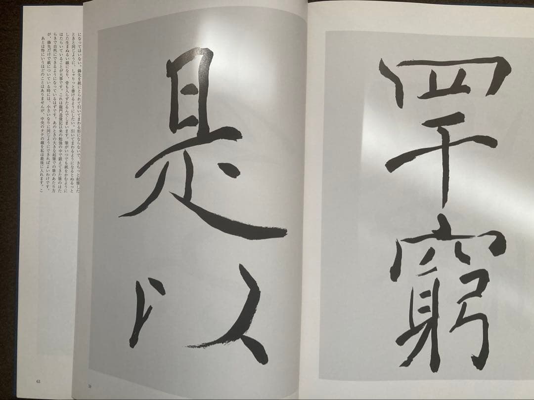 ⭐︎書道書　森田子龍　臨書選　全三巻　美品
