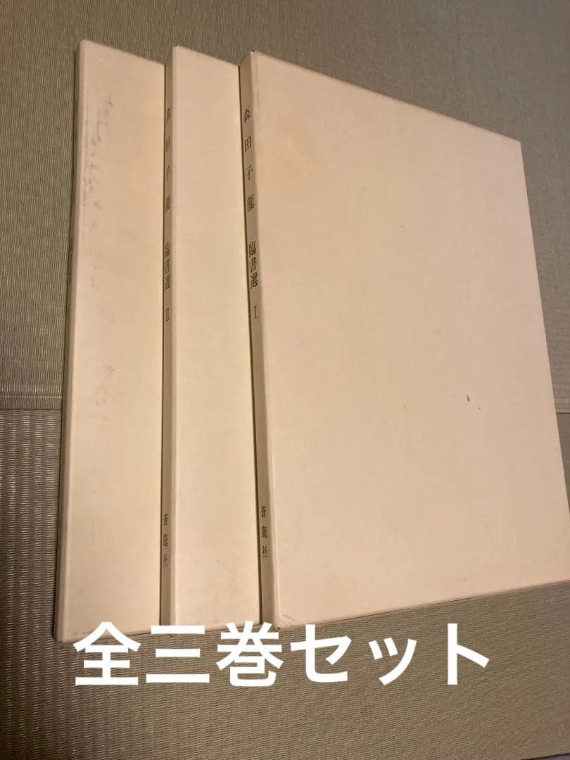 ⭐︎書道書　森田子龍　臨書選　全三巻　美品