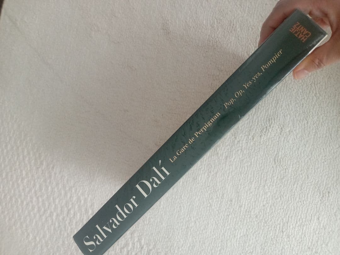 最終価格!サルバドール・ダリ Salvador Dali La Gare...