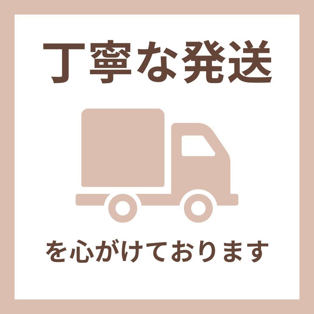 エレキギター ストラトキャスタータイプ 初心者入門ベーシックセット