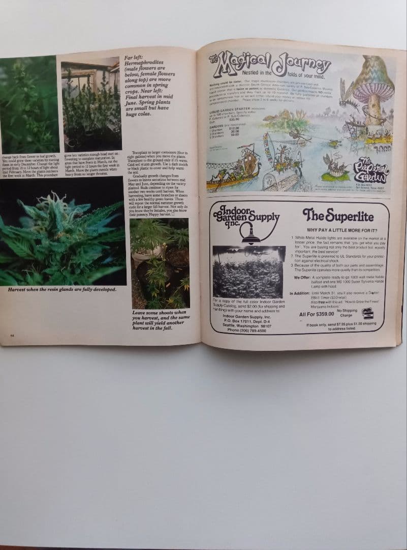 80s/VINTAGE/HIGH−TIMES/MAY/1981/洋雑誌。