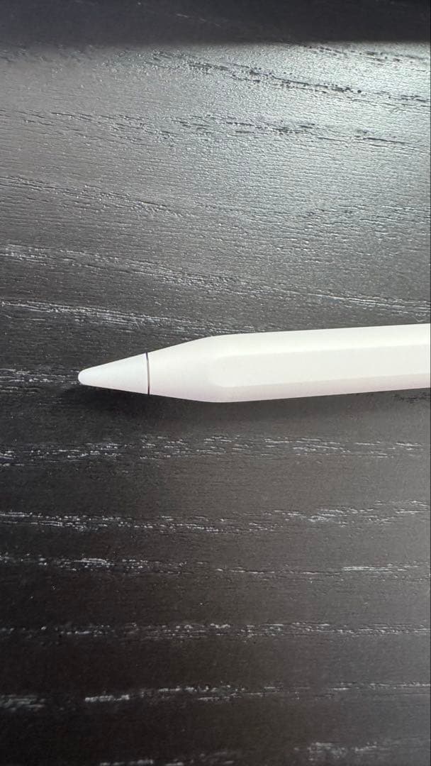 【もーり】Apple Pencil Pro アップルペンシル プロ
