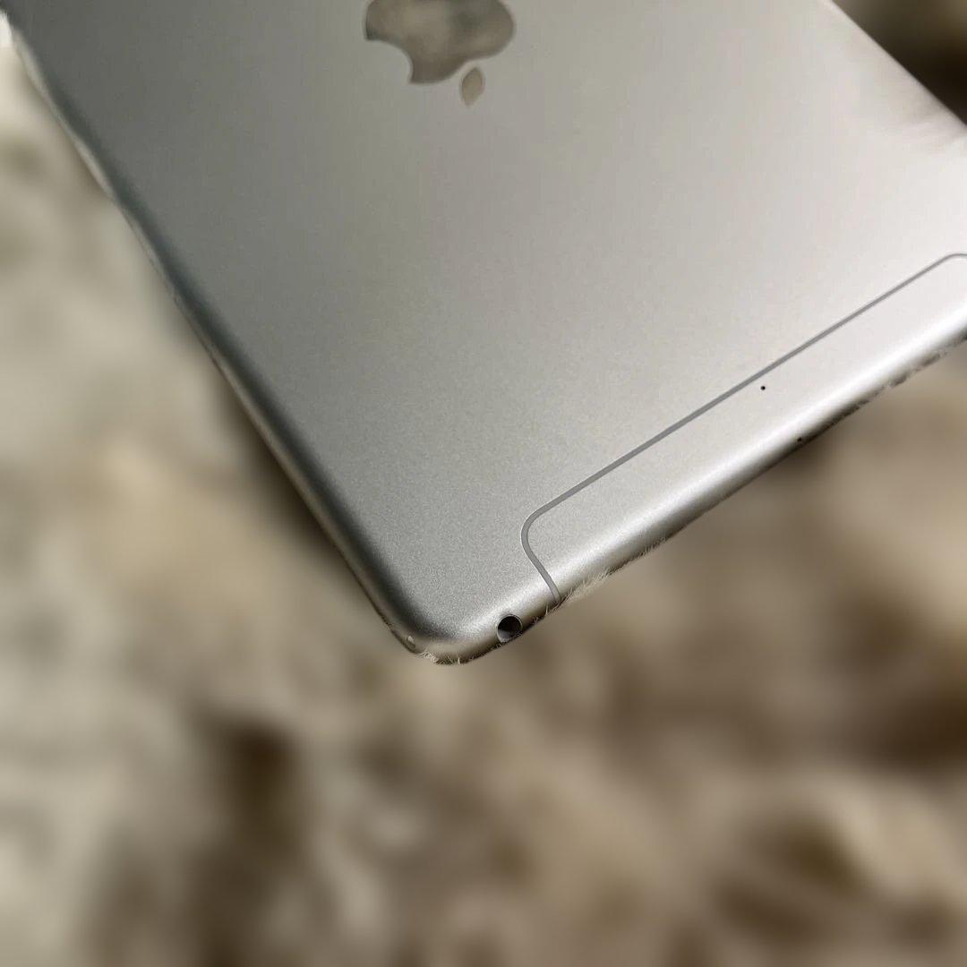 R*i様 Apple iPad mini５Wi-Fi + Cellular シル
