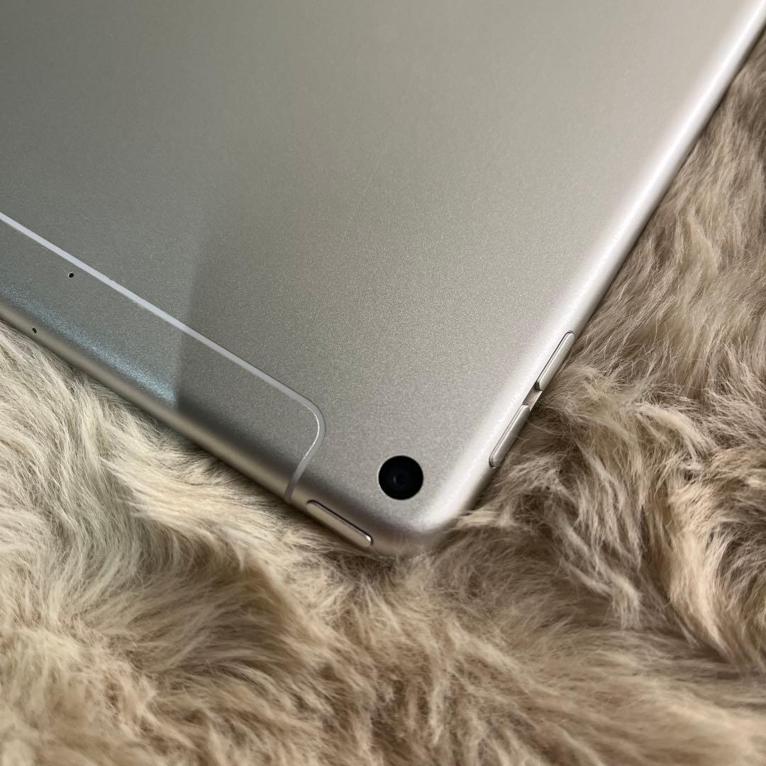 R*i様 Apple iPad mini５Wi-Fi + Cellular シル