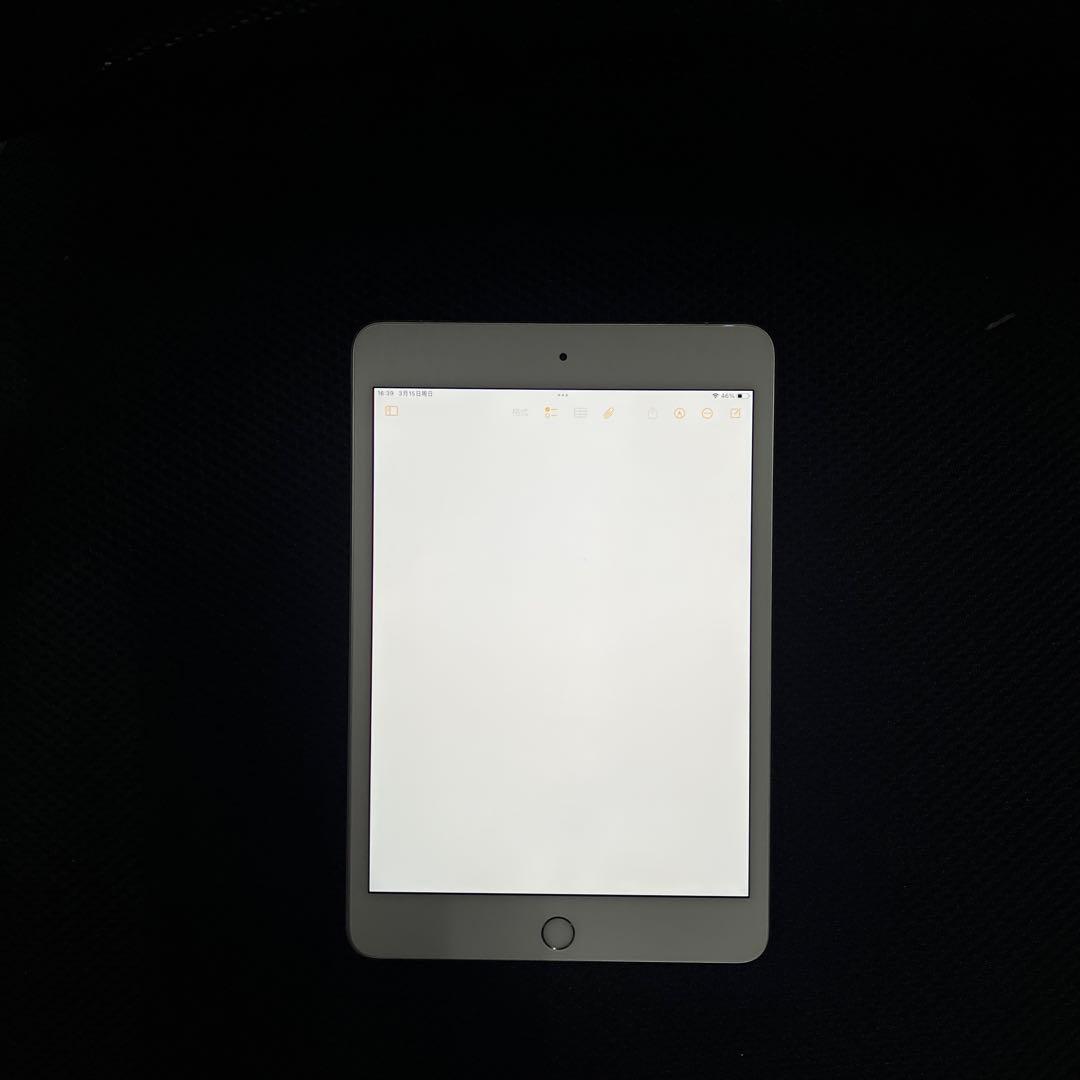 R*i様 Apple iPad mini５Wi-Fi + Cellular シル