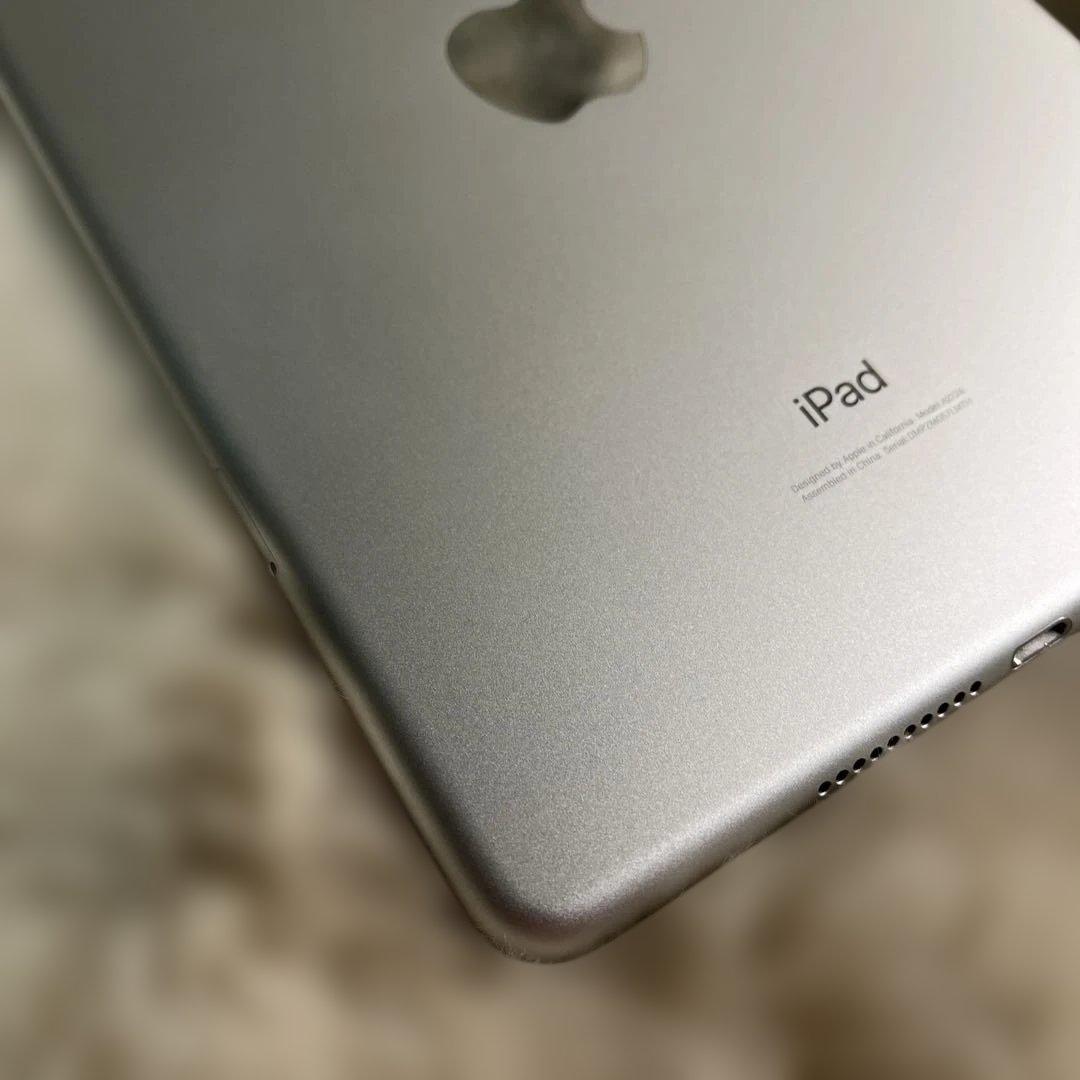 R*i様 Apple iPad mini５Wi-Fi + Cellular シル