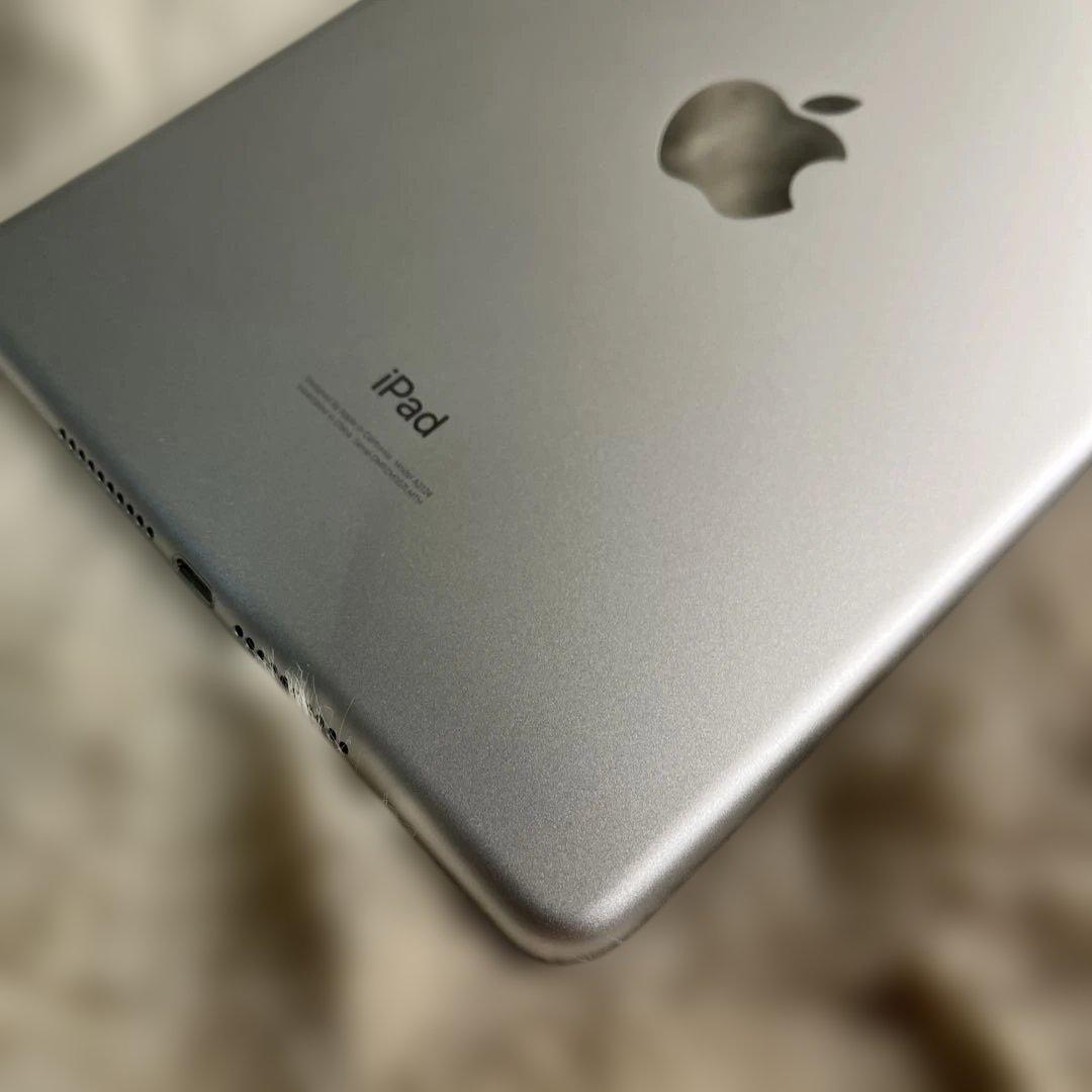 R*i様 Apple iPad mini５Wi-Fi + Cellular シル