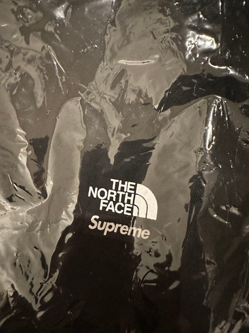 トップス Supreme/TheNorthFaceMountainsTee \"Black\"