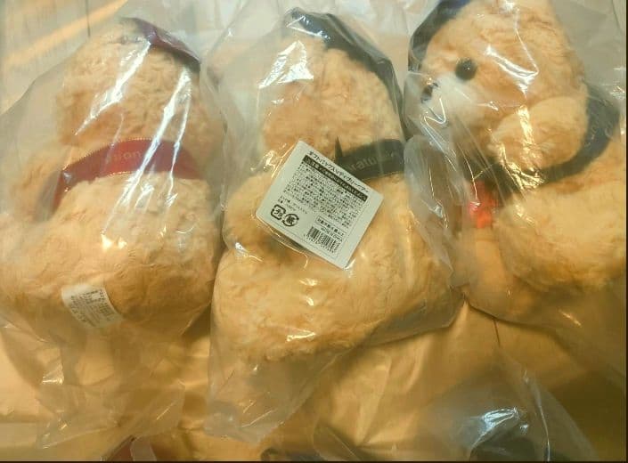 ディグリーベアー卒業帽付きぬいぐるみ 6体セット（ギフトバッグ付き）