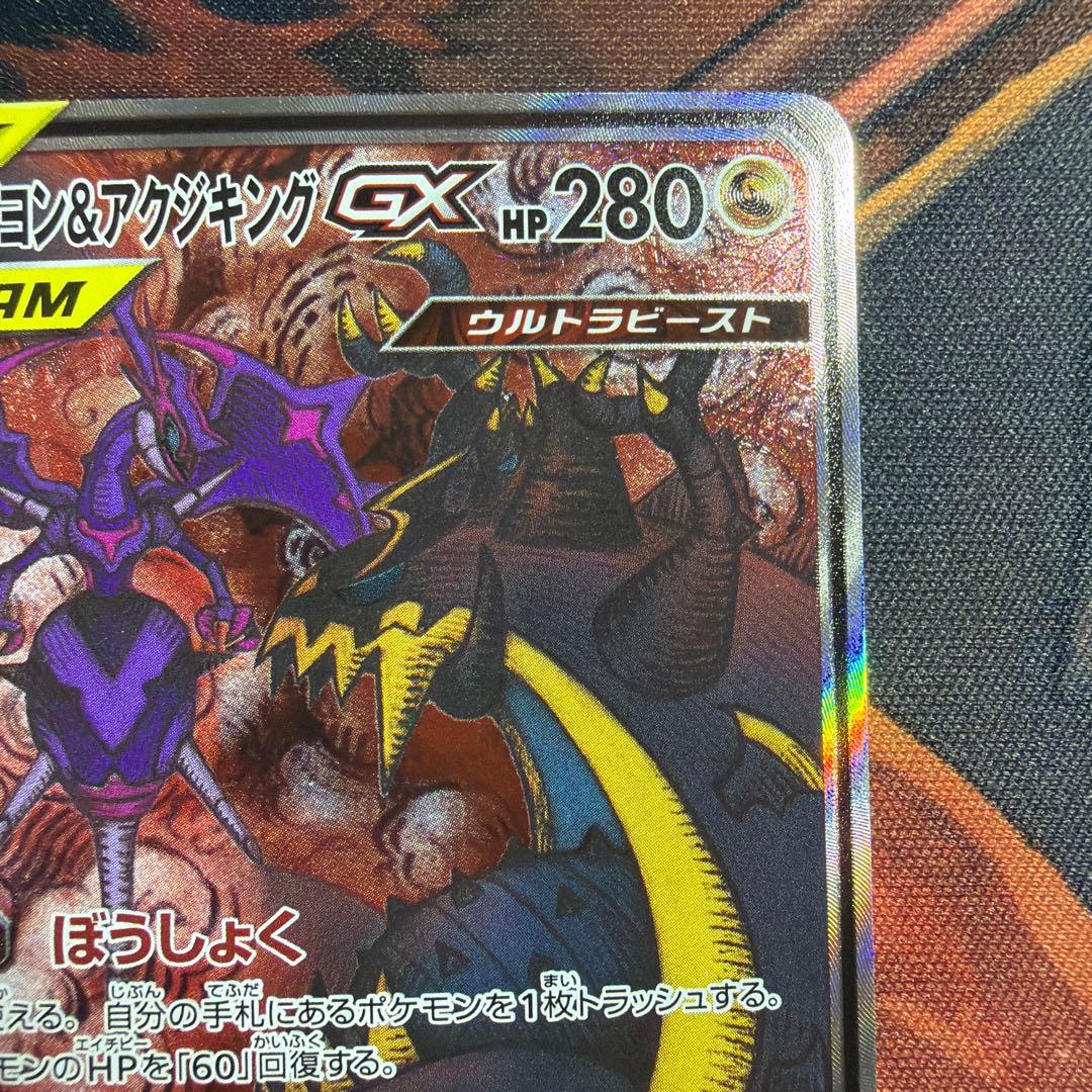 アーゴヨン＆アクジキングGX sa
