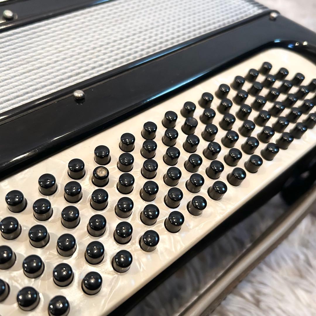 【極希少】 EXCELSIOR 302M アコーディオン ソフトケース付