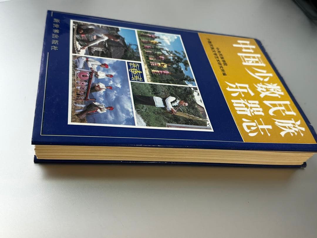 中国少数民族楽器志　民族音楽　楽器