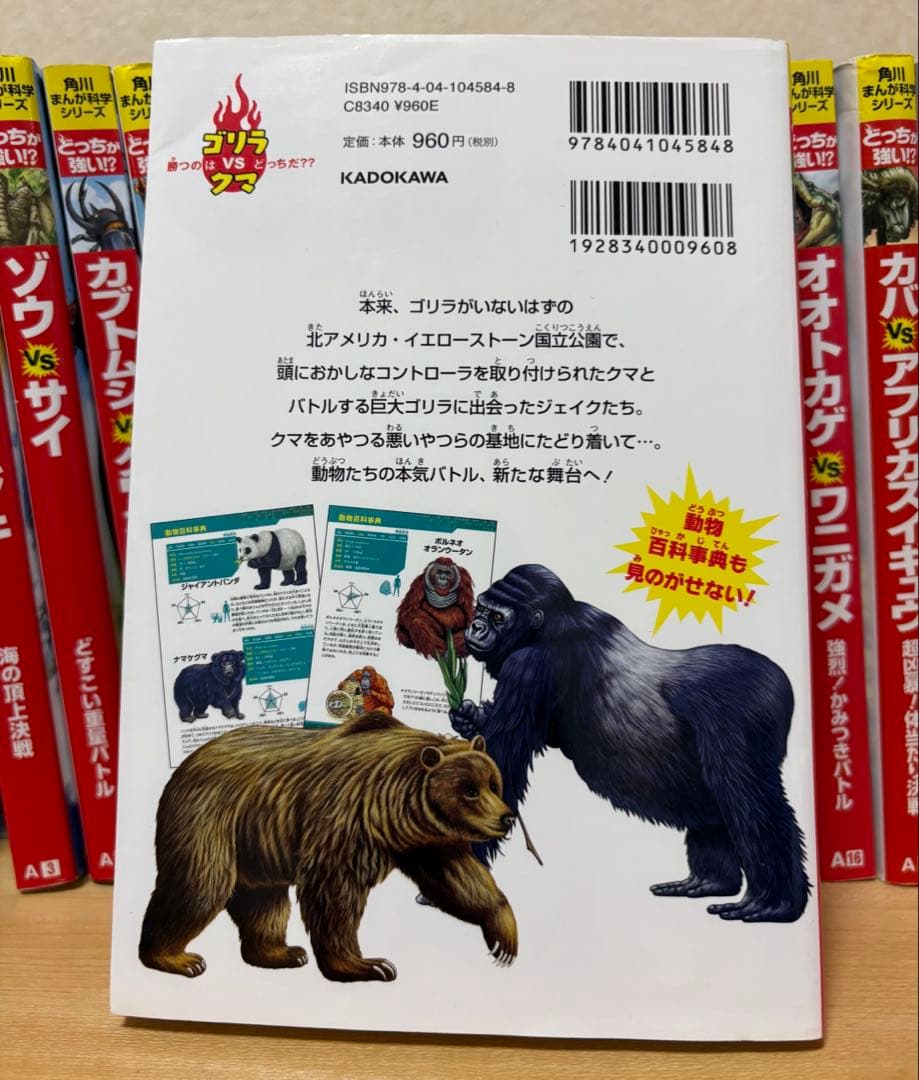 どっちが強い　26冊セット　定価27456円