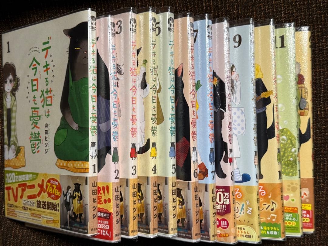 デキる猫は今日も憂鬱　全12巻SET