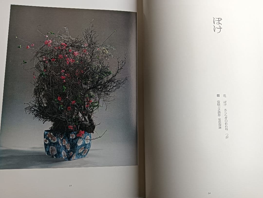 華泉の花