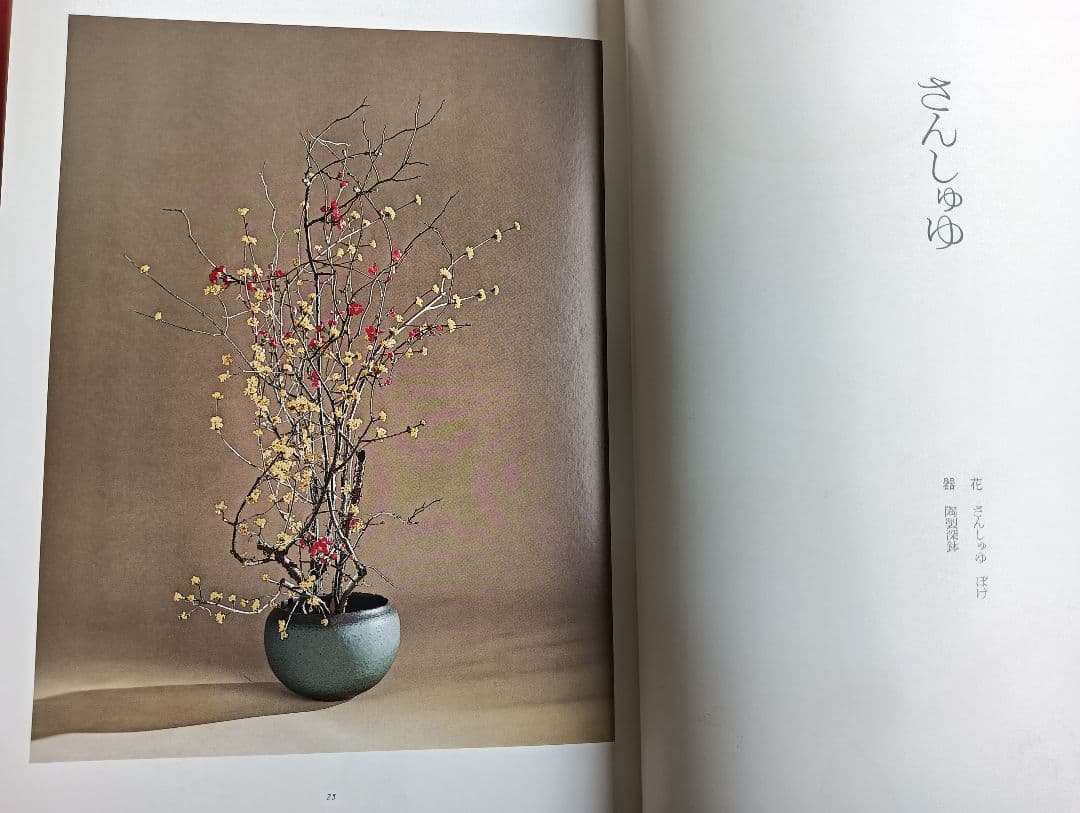 華泉の花