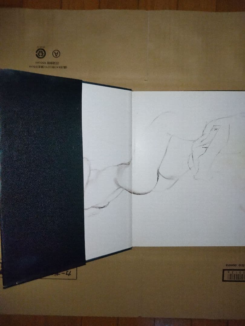 manara MEMORY アートブック フランス語