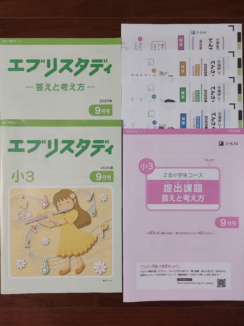 Z会 小3 エブリスタディ 2025年度 国算理社 1年分 未記入