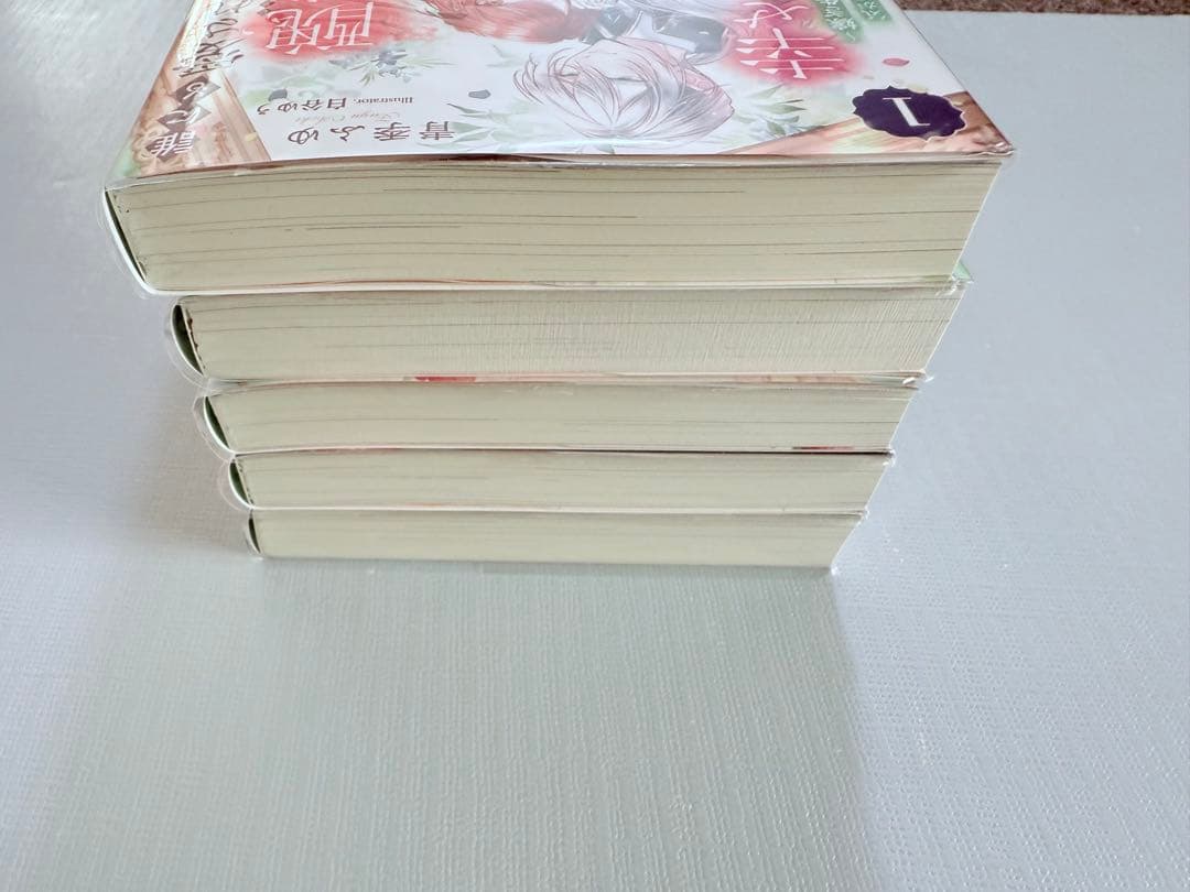 誰にも愛されなかった醜穢令嬢が幸せになるまで