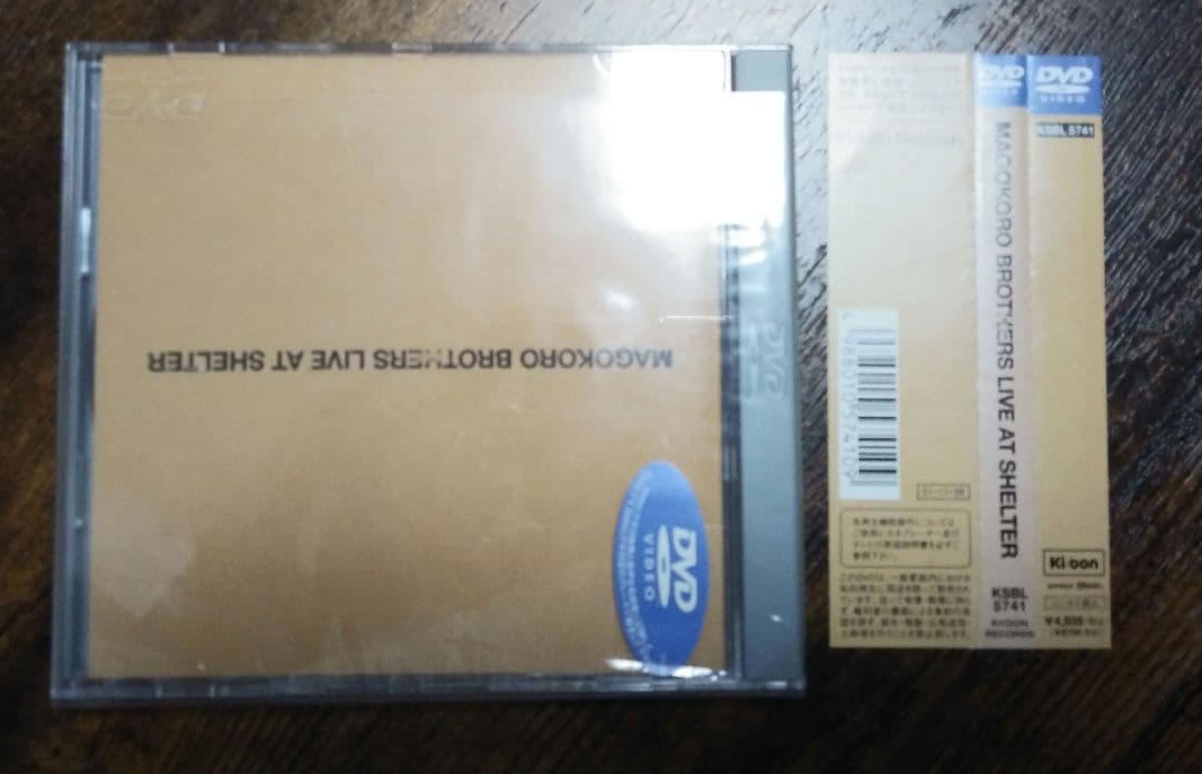 廃盤　美品　真心ブラザーズDVD 2枚セット