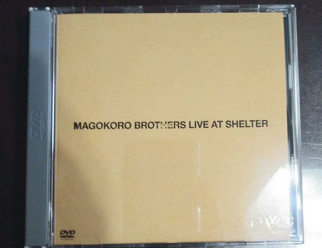 廃盤　美品　真心ブラザーズDVD 2枚セット