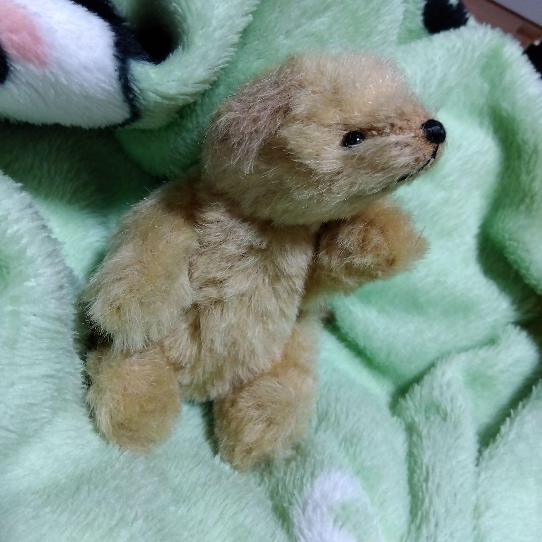 作家ベア　大変優しい可愛いテディベア（わんこ）です！