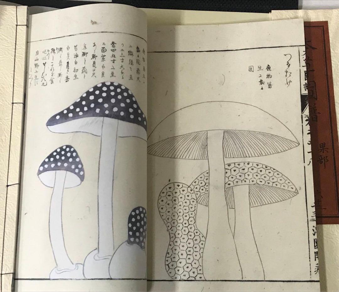 復刻版　本草図譜