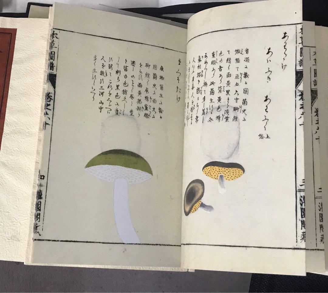 復刻版　本草図譜