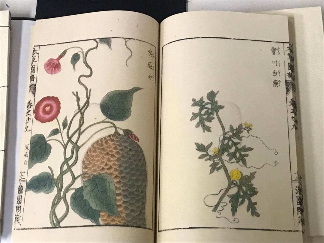 復刻版　本草図譜