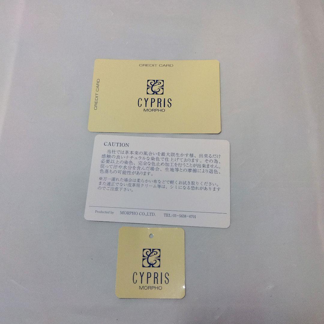 極美品　CYPRIS　ジッパーフライトケース　ブリーフケース　バッグ　希少カラー