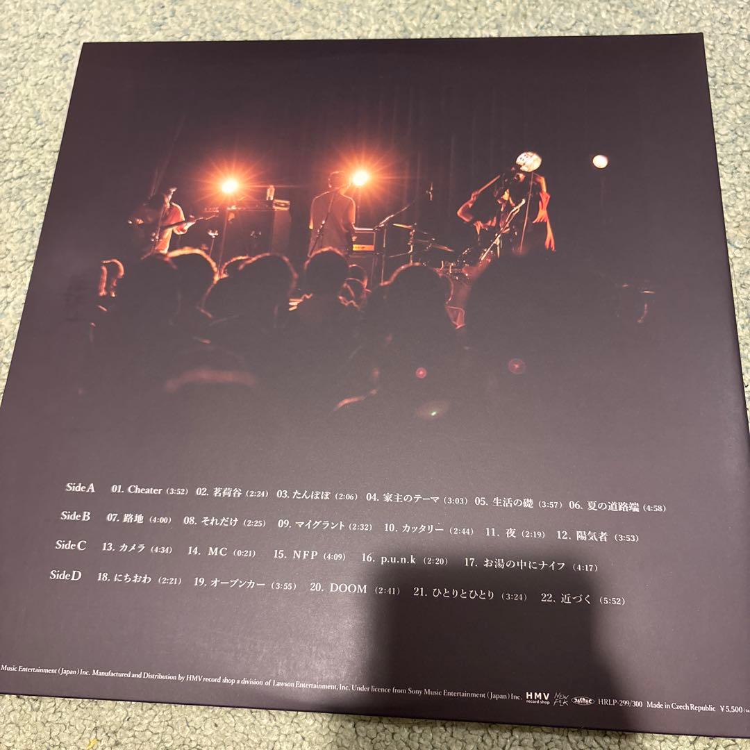 家主 INTO THE DOOM 2枚組レコード