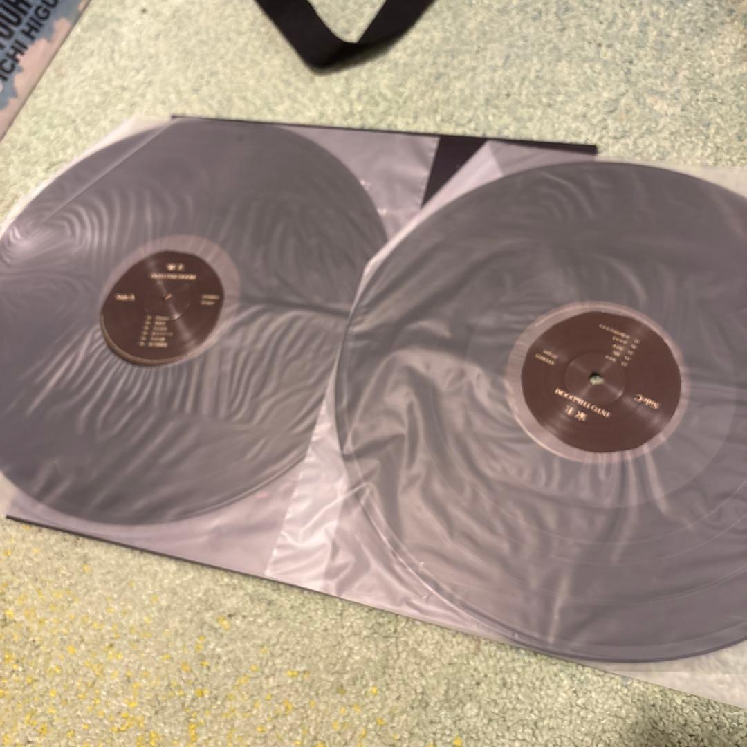 家主 INTO THE DOOM 2枚組レコード