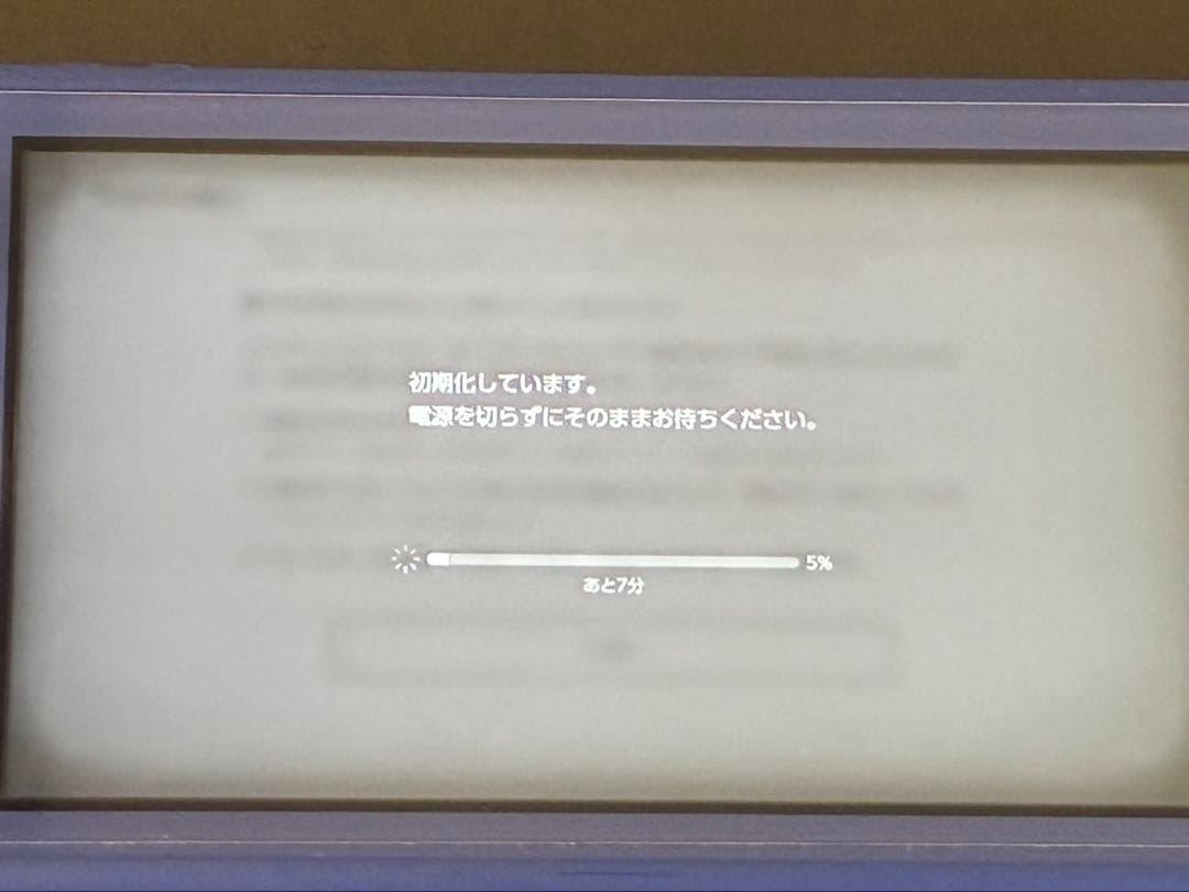 2024年購入Switch Lite 本体 ＋ グリップケース付