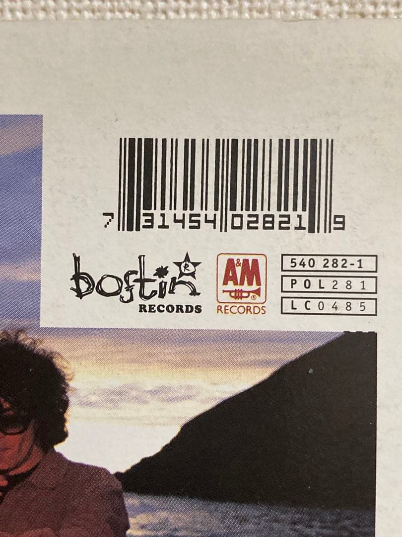 洋楽 Dodgy / grown