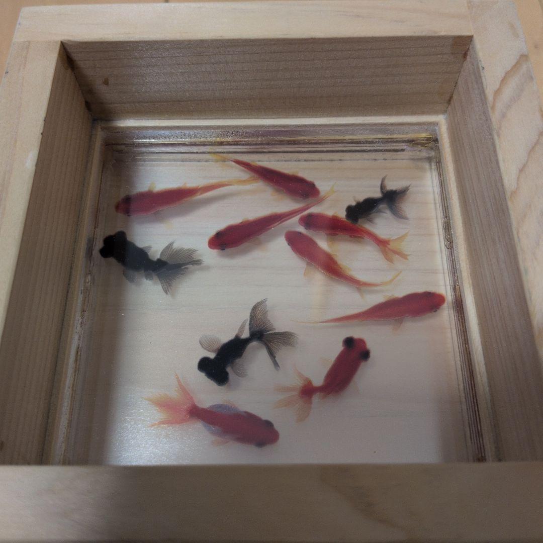 金魚アート　樹脂金魚作品