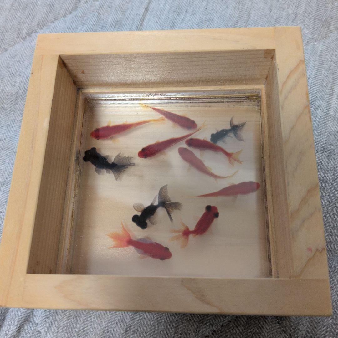 金魚アート　樹脂金魚作品