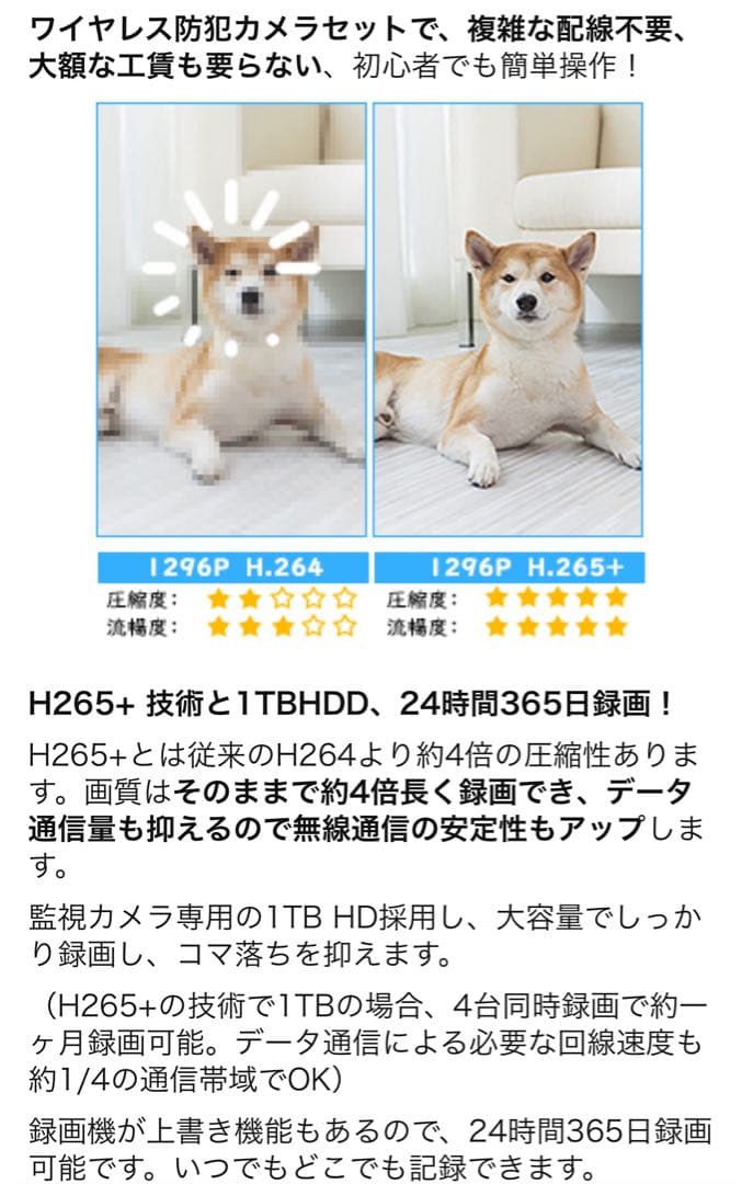 ワイヤレス防犯カメラ2台＋モニターセット 1TB